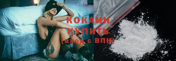 дурь Бородино