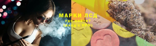 крисы Богородицк