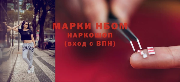 дурь Бородино
