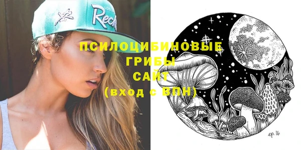 mdpv Вяземский