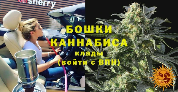 mdpv Вяземский
