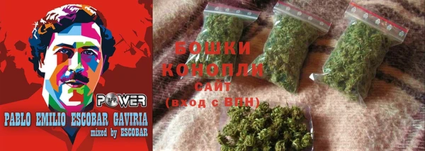 дурь Бородино