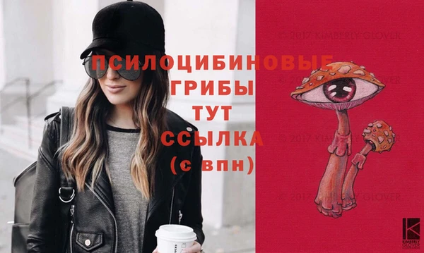 дурь Бородино