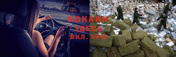 крисы Бронницы