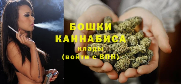 крисы Бронницы